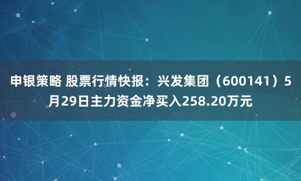 申银策略 股票行情快报：兴发集团（600141）5月29日主力资金净买入258.20万元