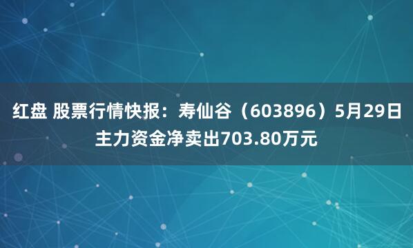 红盘 股票行情快报：寿仙谷（603896）5月29日主力资金净卖出703.80万元